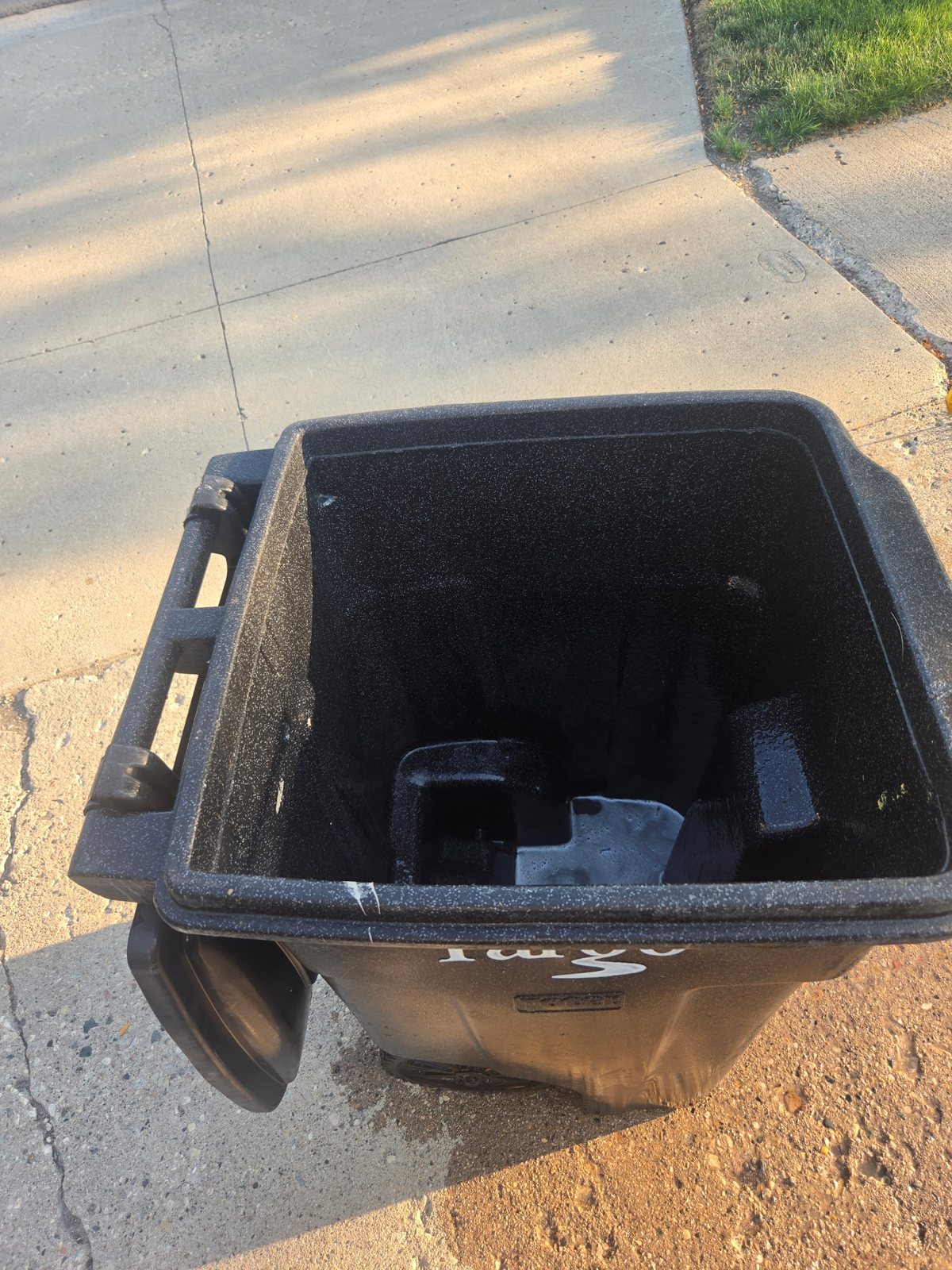 Before Black Bin Deep Clean